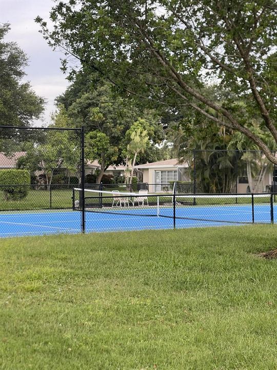 IMG_3145