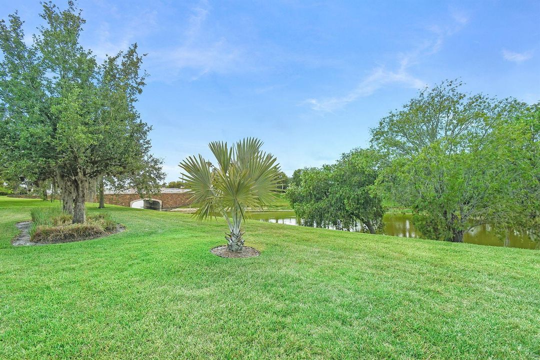Back Yard View