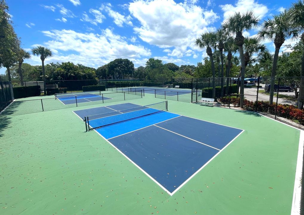 Pickle Ball
