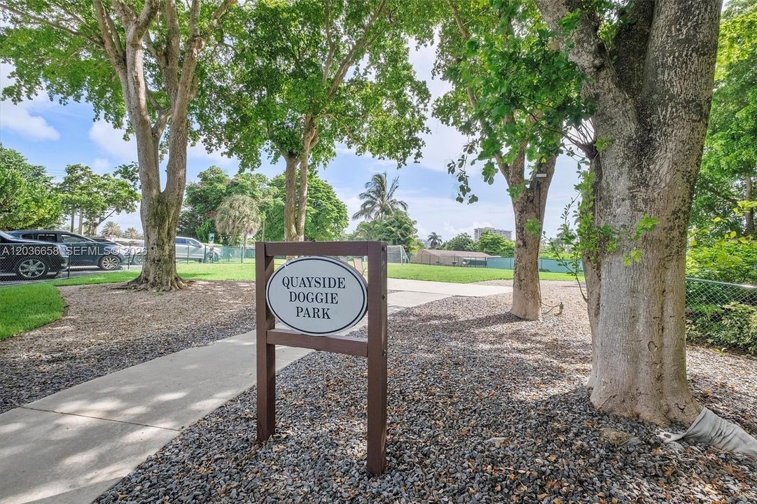 Dog Park