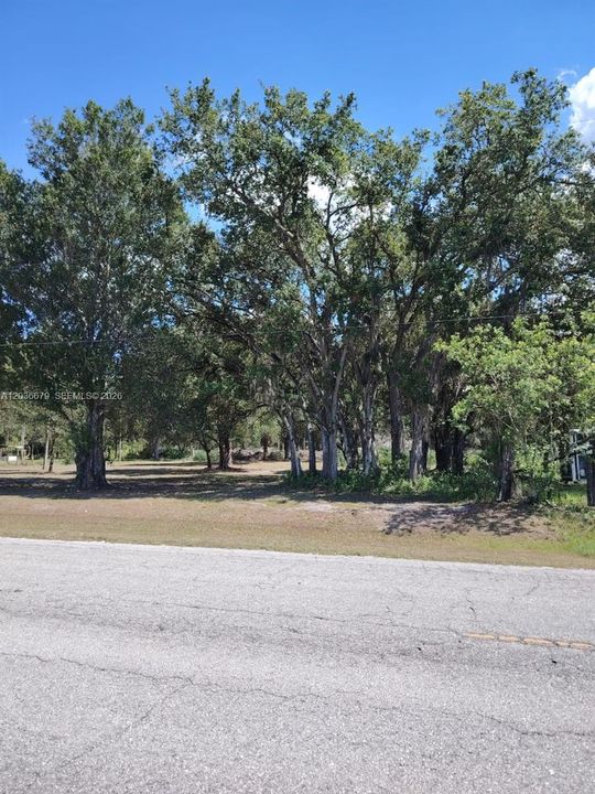 待售: $85,000 (0.95 acres)