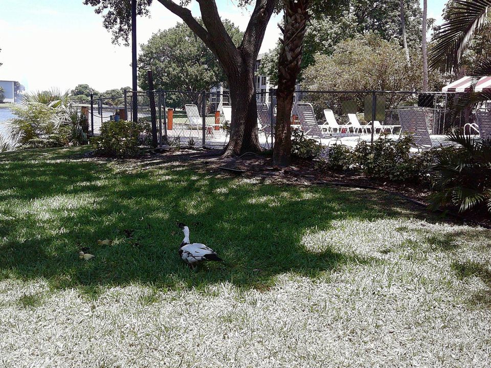 DSCF0009
