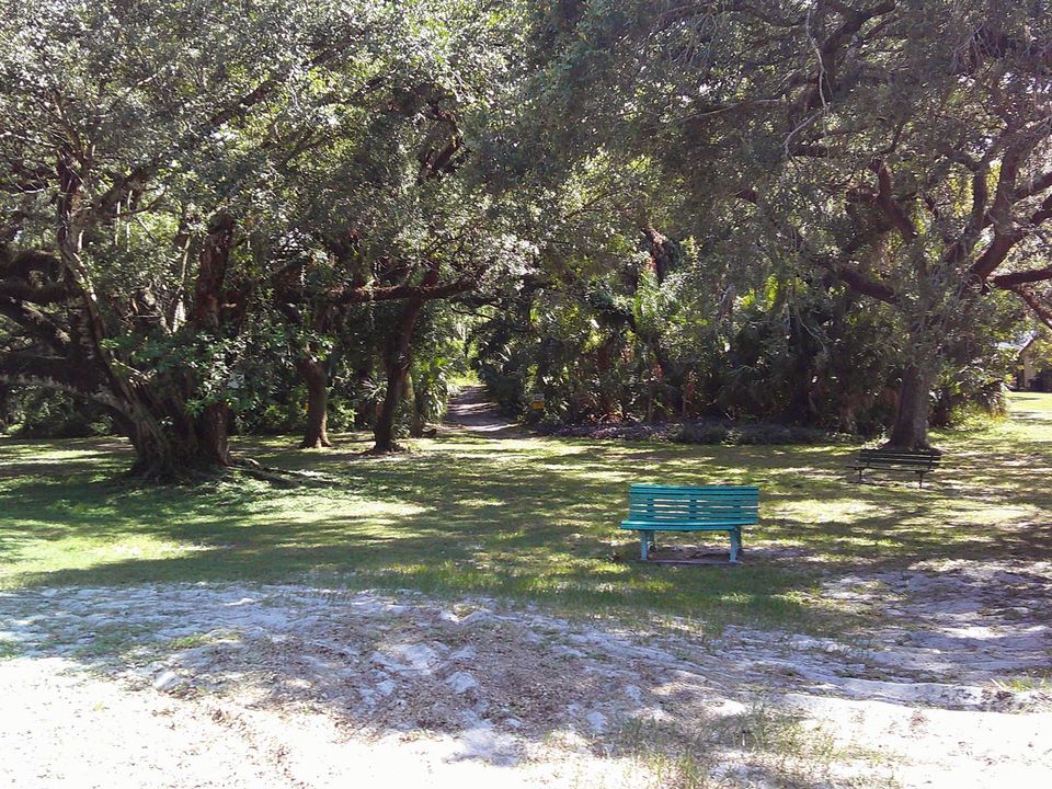 DSCF0072
