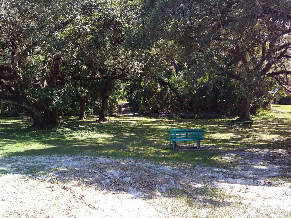 DSCF0071