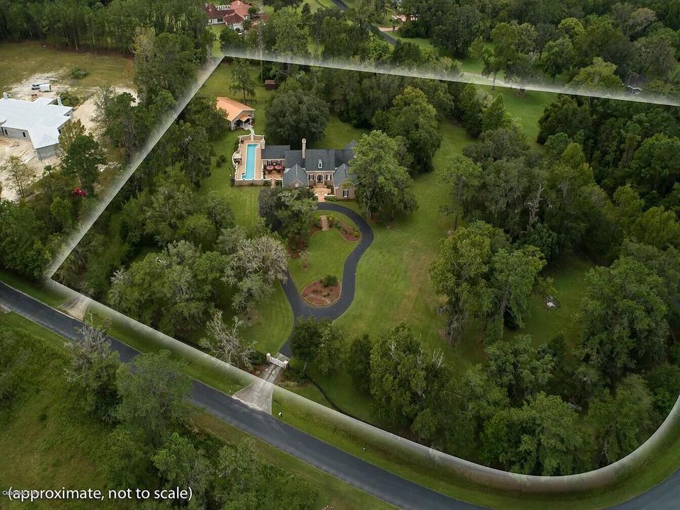 OCALA ARIEL 1