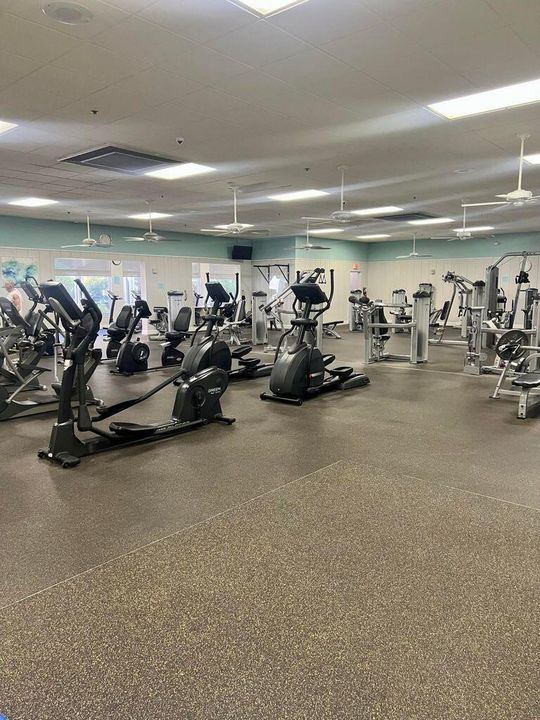 gym