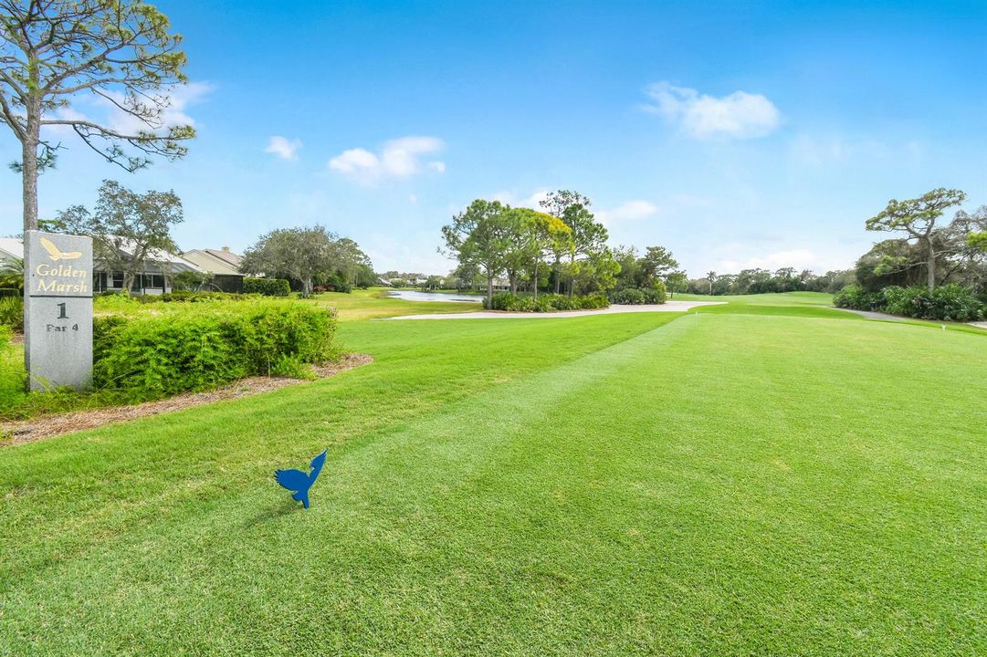 Hole 1 Tee Box GM