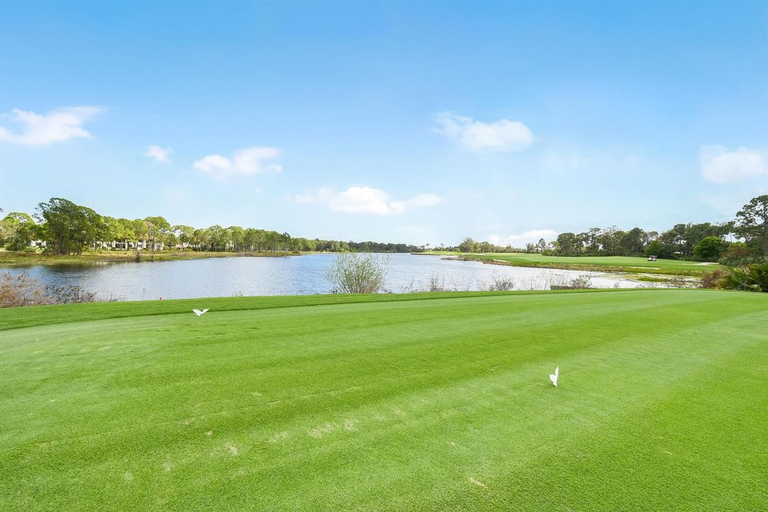15 Tee Box GM