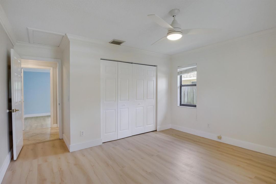 542 Indigo (22)