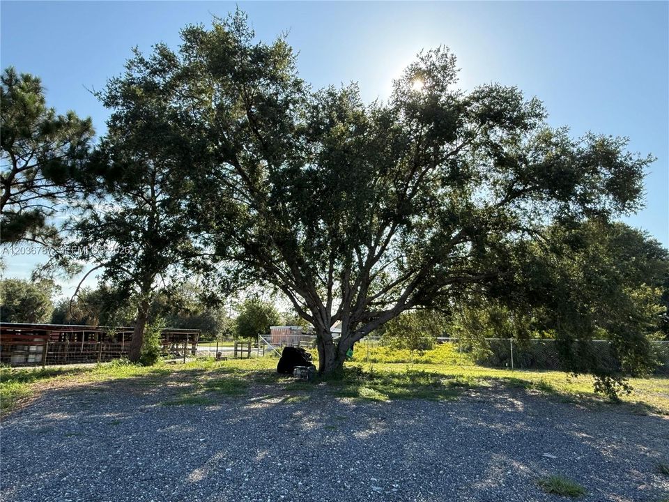 For Sale: $75,000 (1.25 acres)