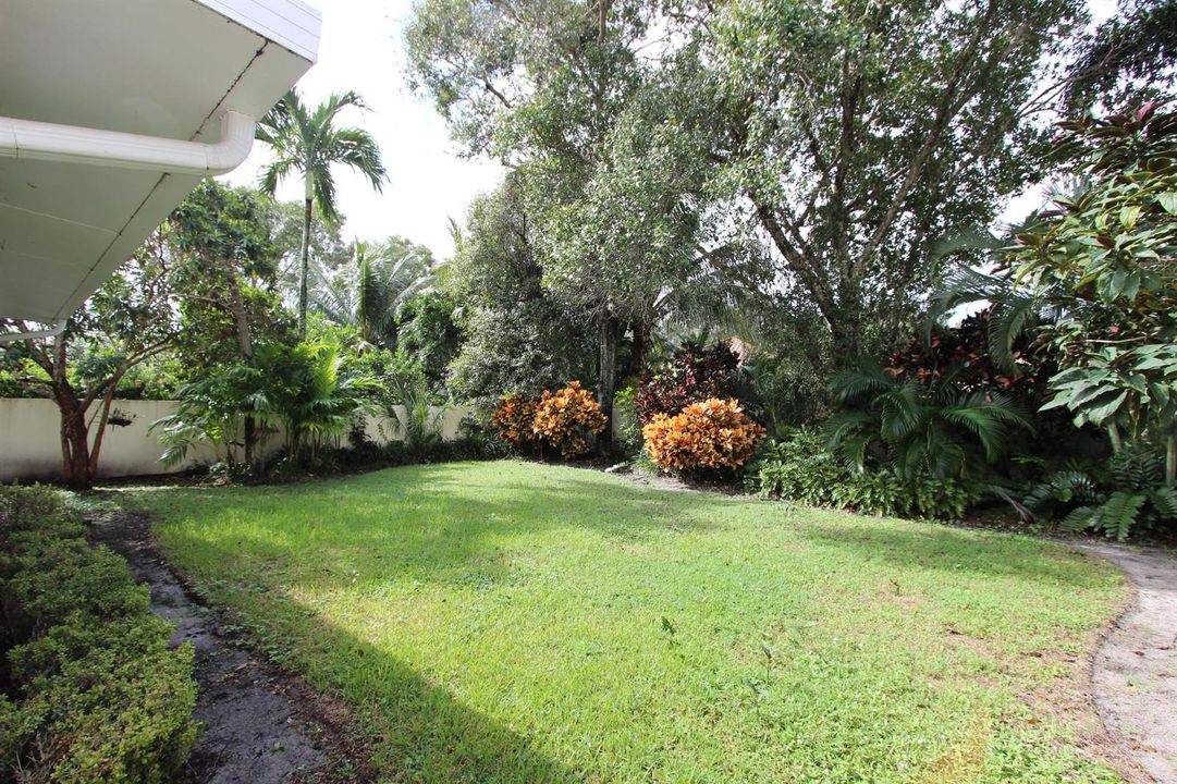 Large Backyard
