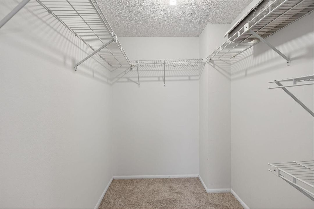 Primary Walk-in Closet