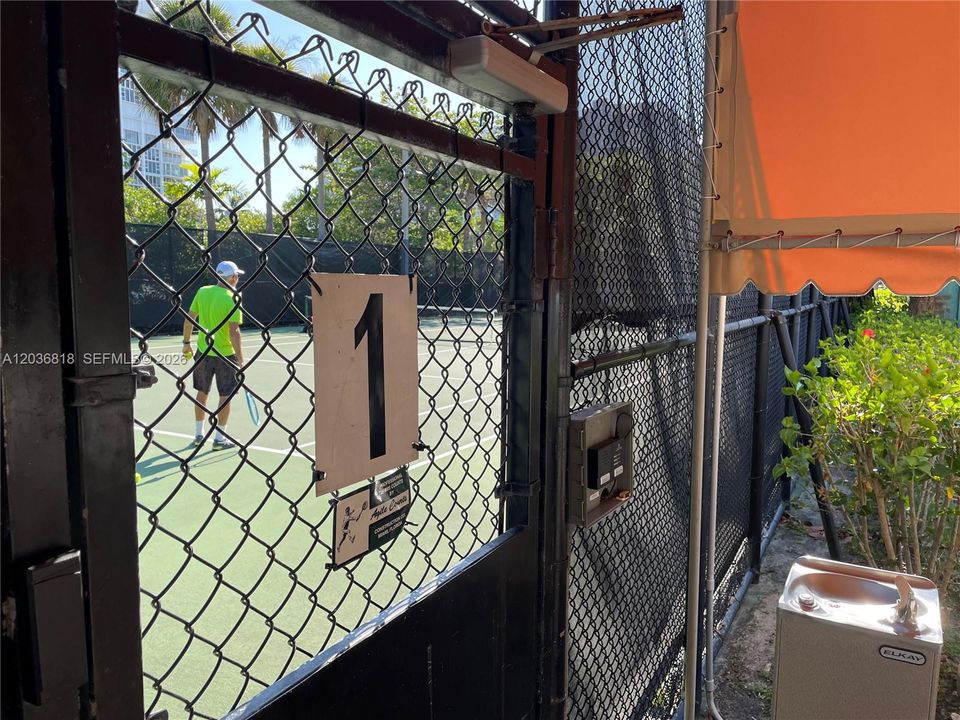 Two Fully Lighted Tennis Courts