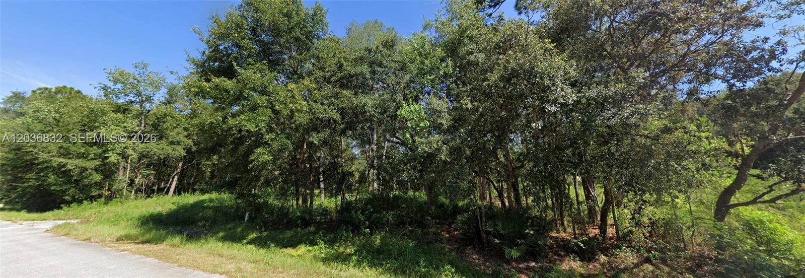 For Sale: $24,900 (0.24 acres)
