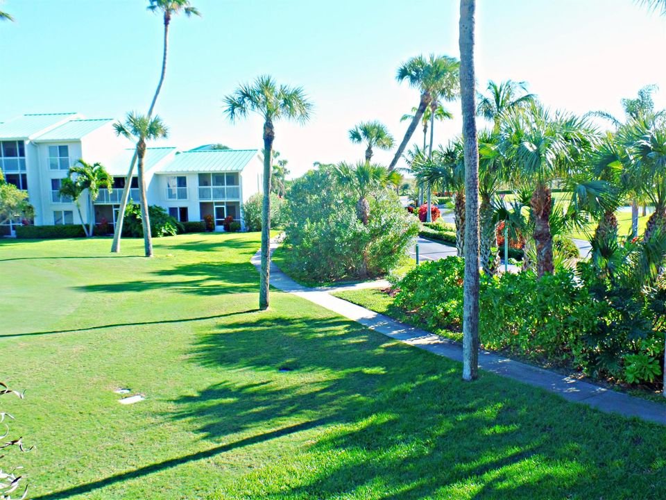 WALKWAY TO THE BEACH..............