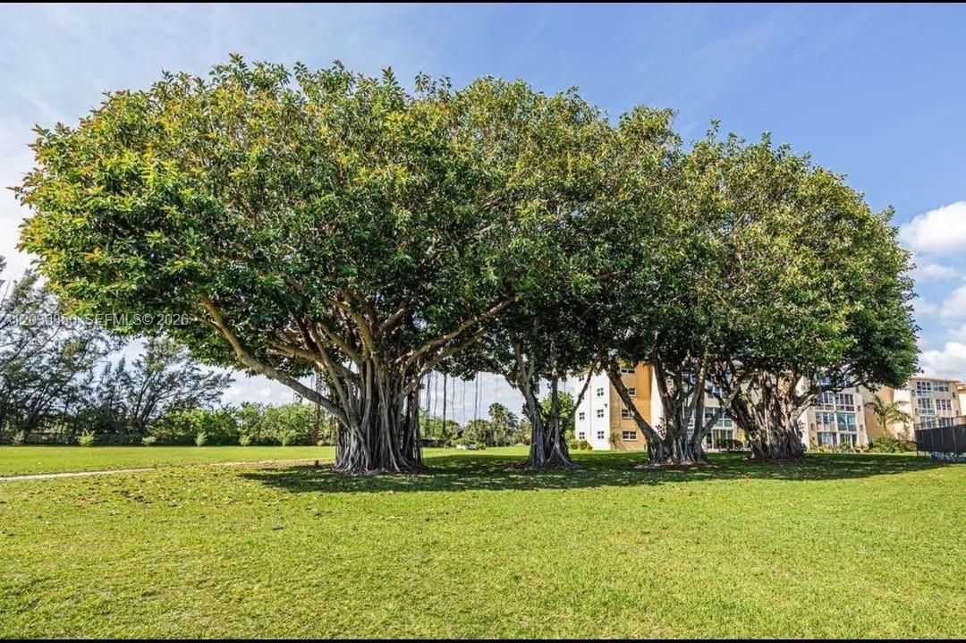 En Renta: $1,699 (2 camas, 2 baños, 960 Pies cuadrados)