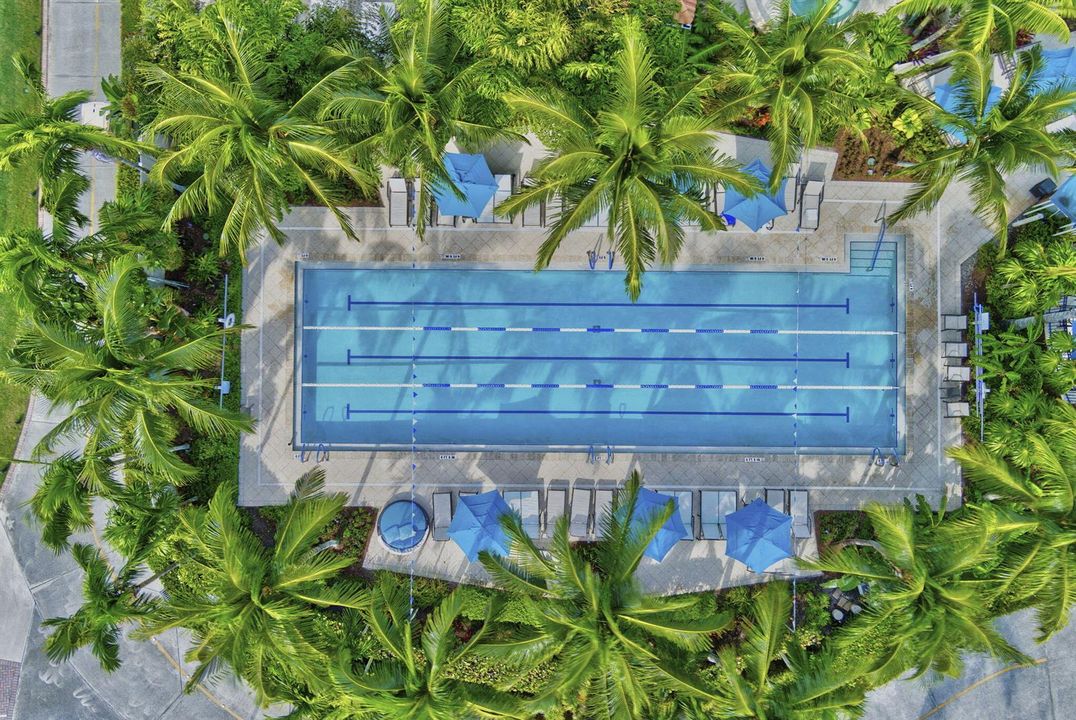 CLUB - Lap Pool