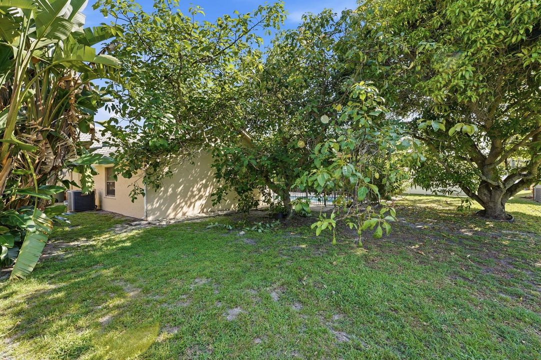 31-web-or-mls-DSC08152