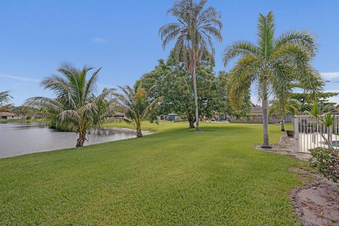 Backyard!