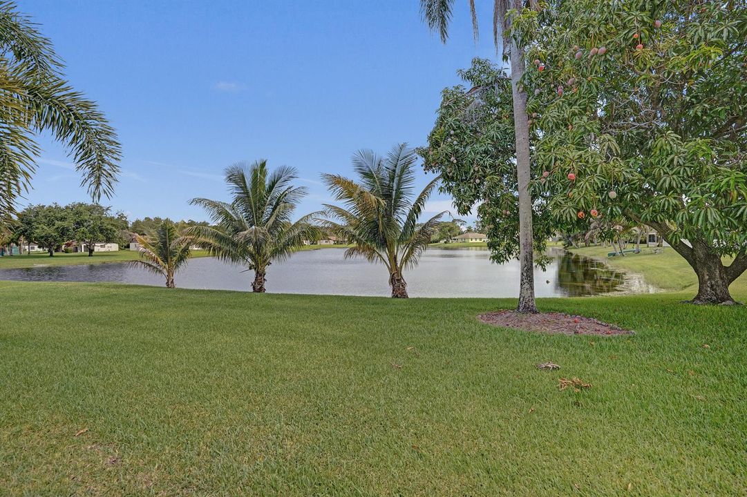 Yard Views!