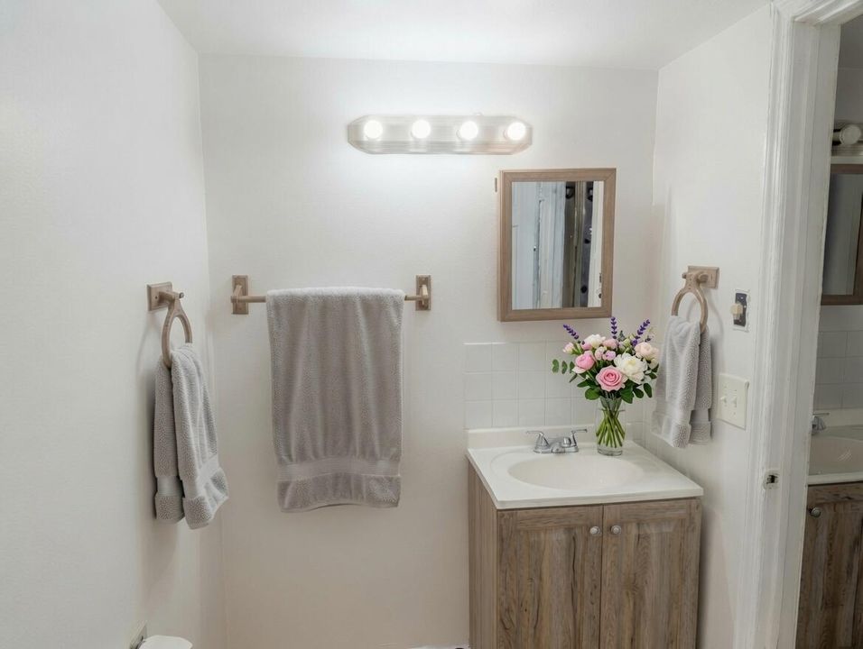 Separate Master Sink with towels and flo