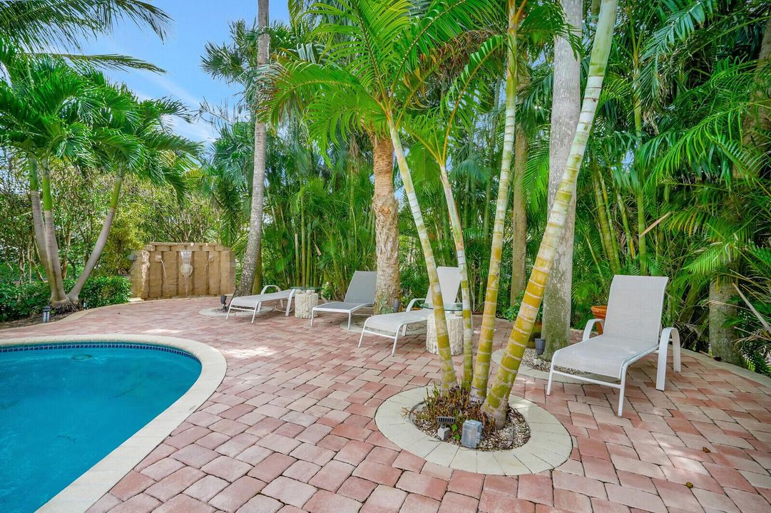 Resort-Style Backyard