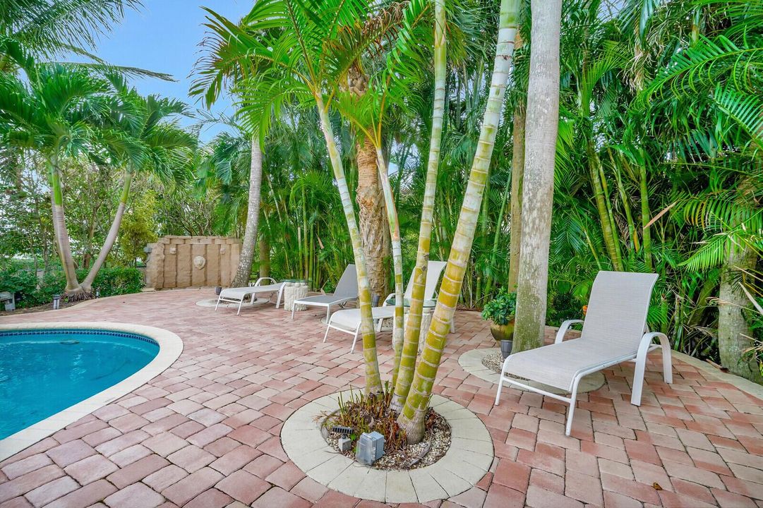 Resort-Style Backyard