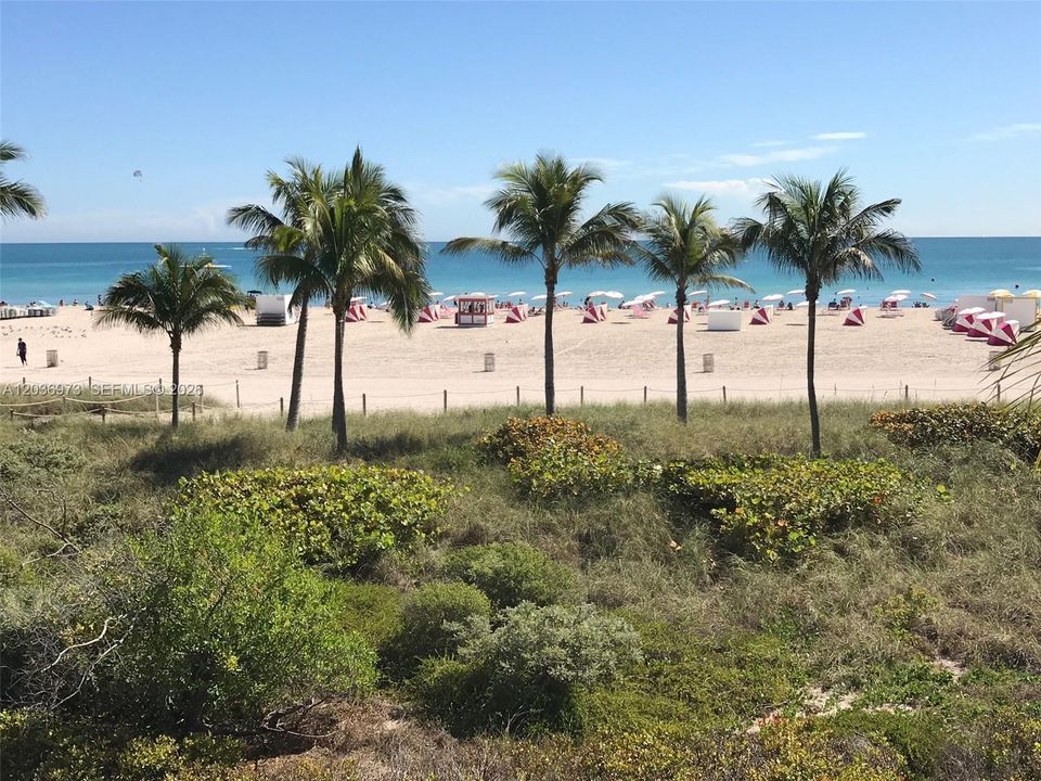 Backyard Beach