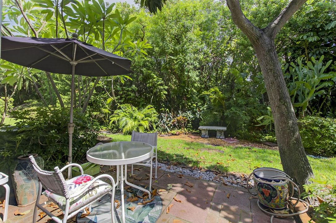 Patio/Backyard Area