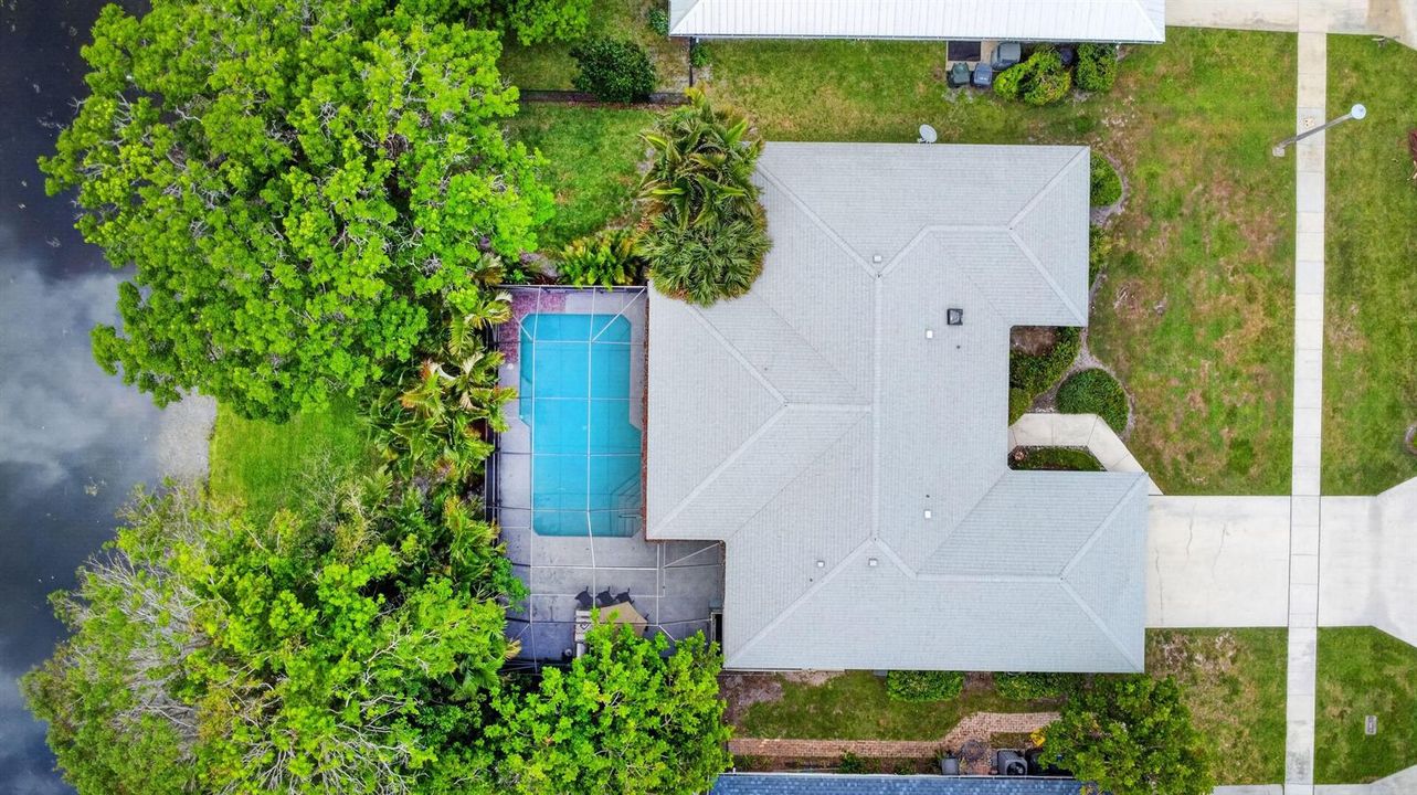 Ariel View