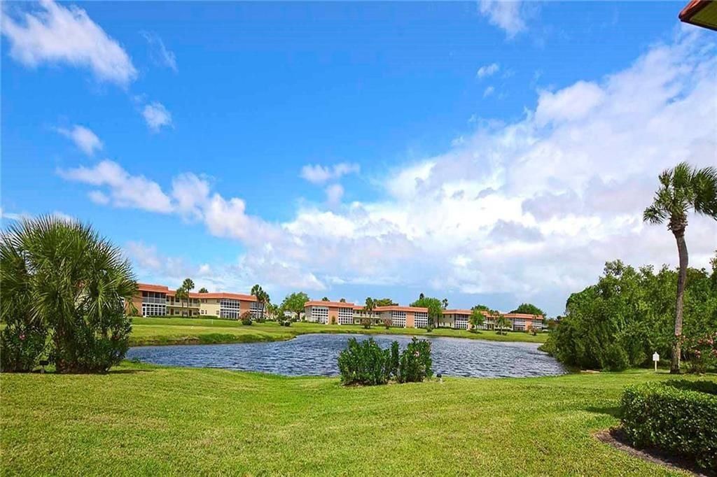 water views