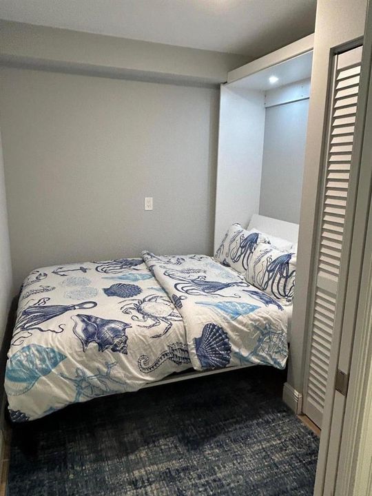 bonus room with murphy bed