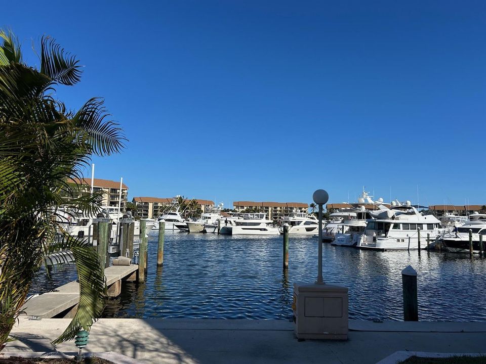 View of Marina