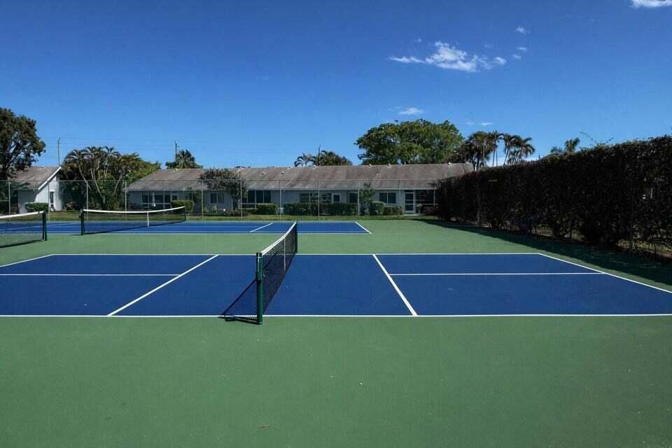 lagotennis 1
