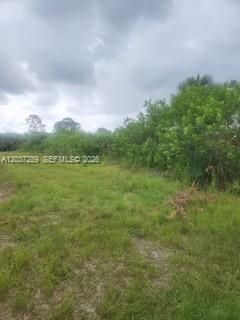 For Sale: $27,000 (0.27 acres)