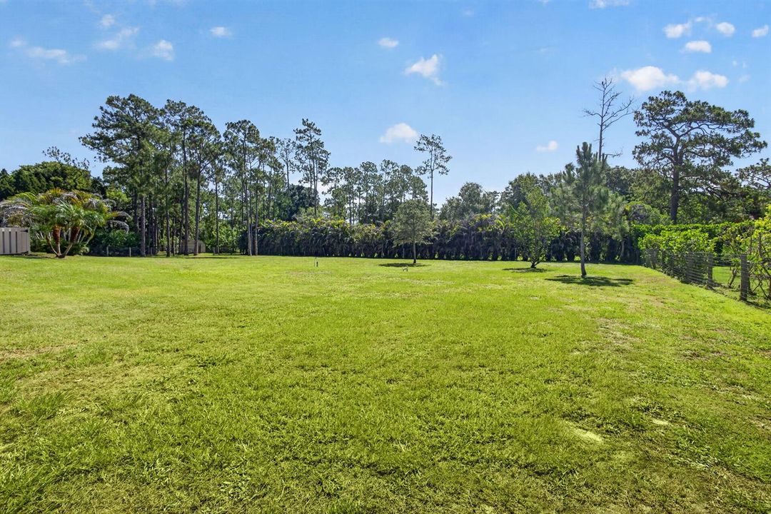 73-web-or-mls-5D1A8491