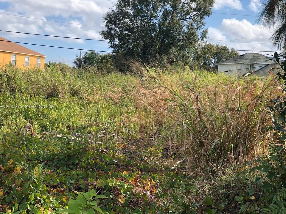 YARD