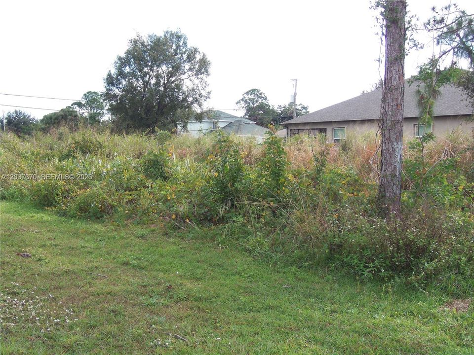 YARD