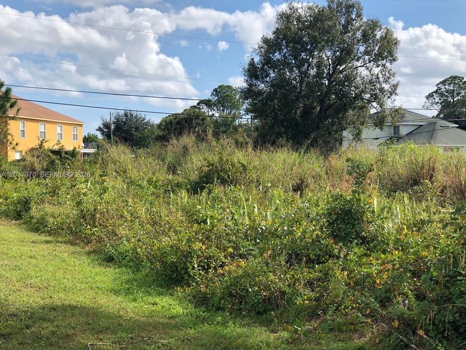 YARD
