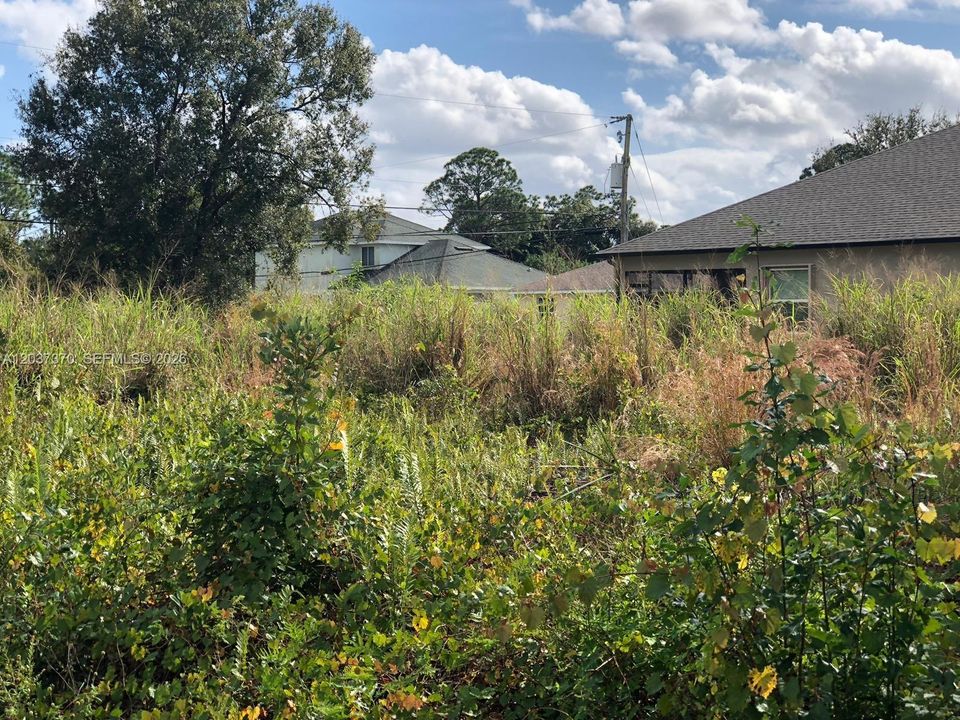 YARD
