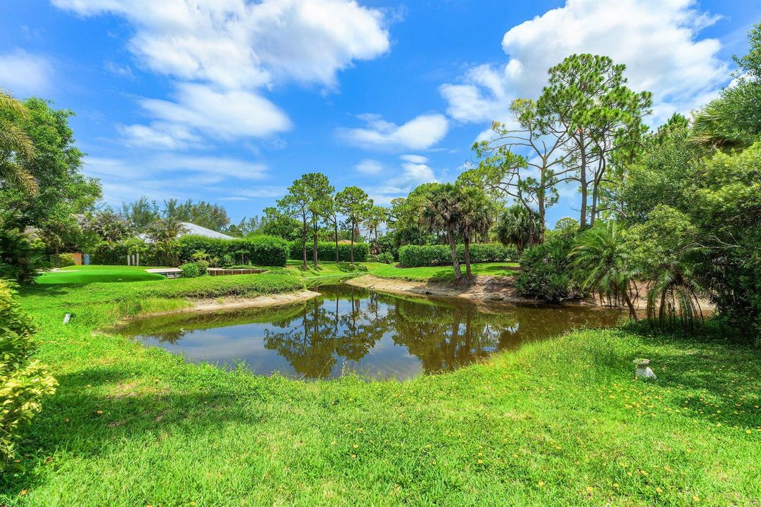 Backyard View off Lake/Golfcourse