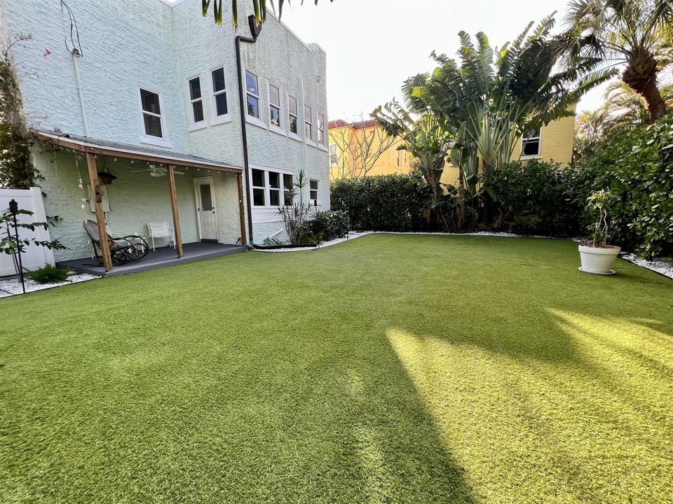 Backyard