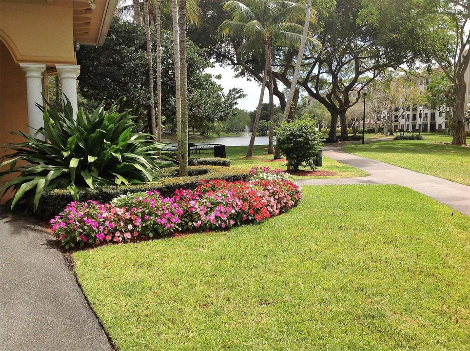 delray-1 (57)