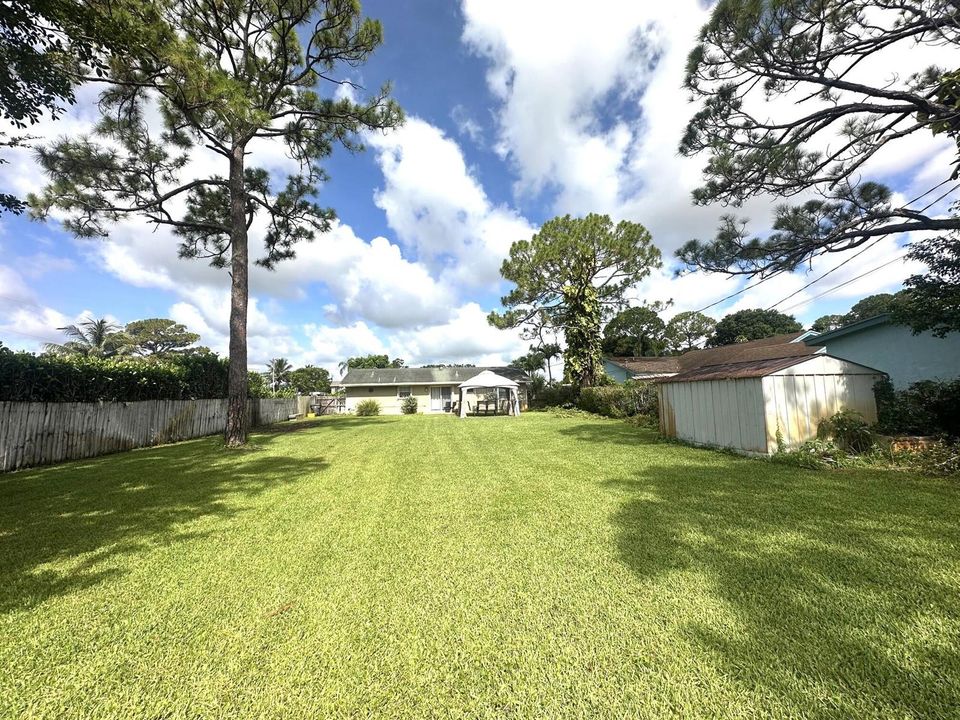 Spacious Backyard