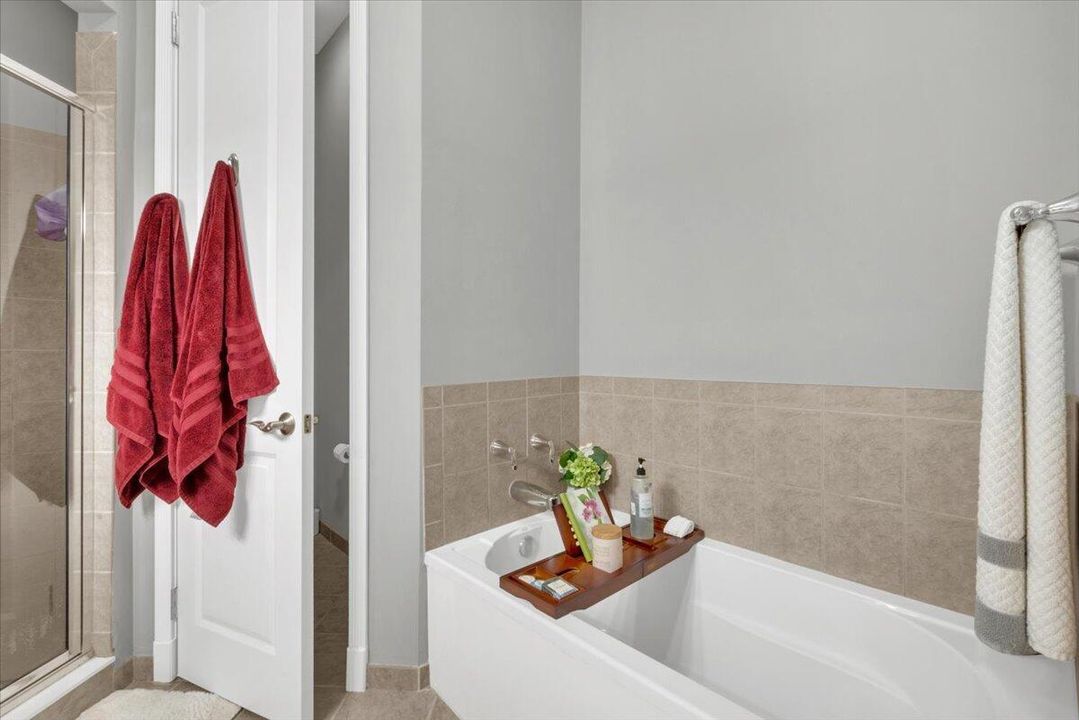 Master bathroom tub