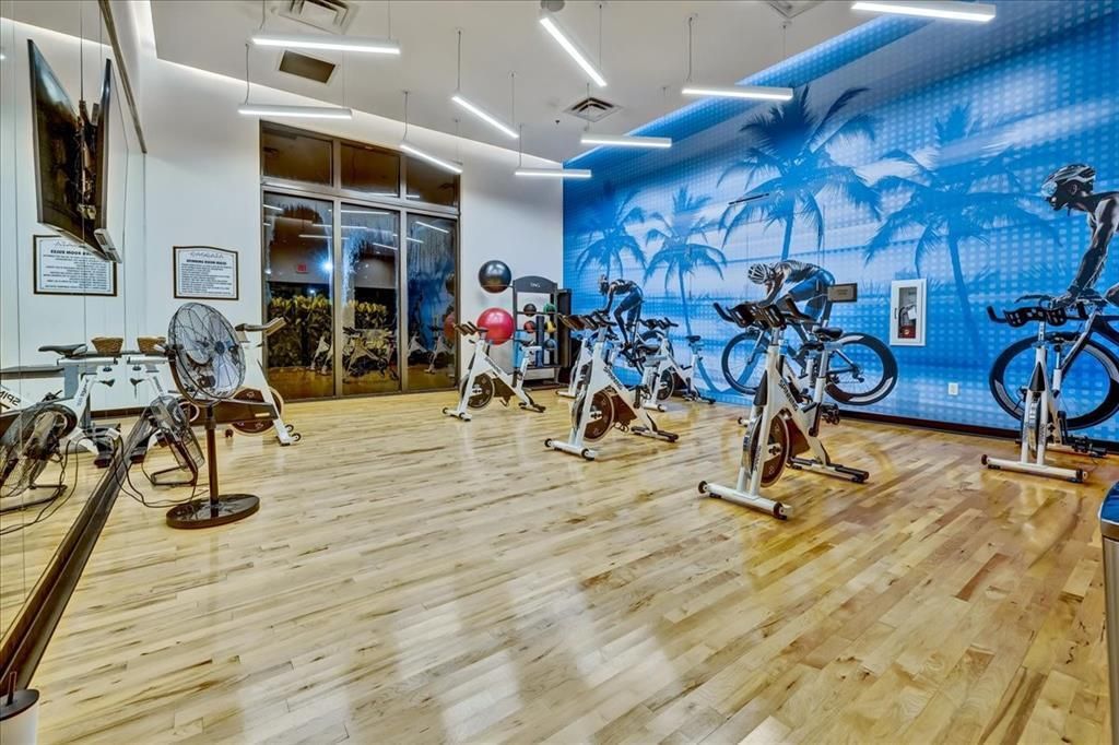Cascata Cycle Room Michael Longo