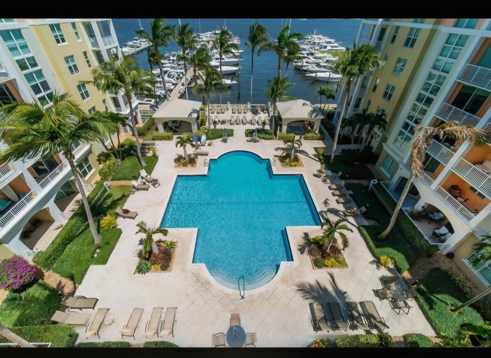 +Pool on the Intracoastal