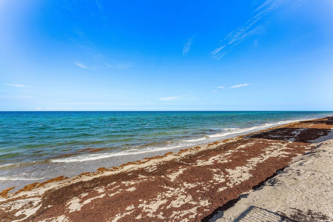 040-3545SouthOceanBoulevard-405-SouthPal
