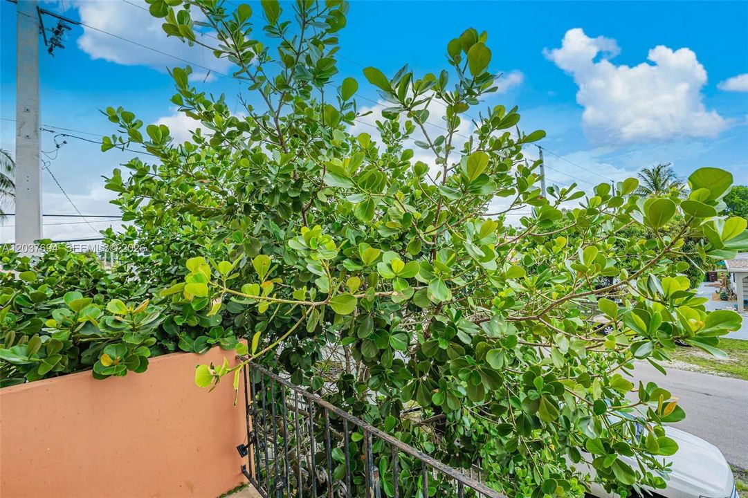 For Rent: $2,200 (2 beds, 1 baths, 945 Square Feet)