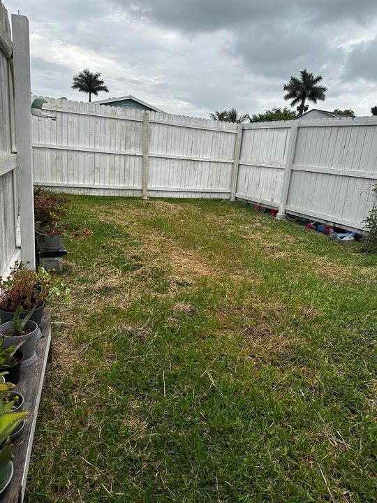 Unit 1 backyard